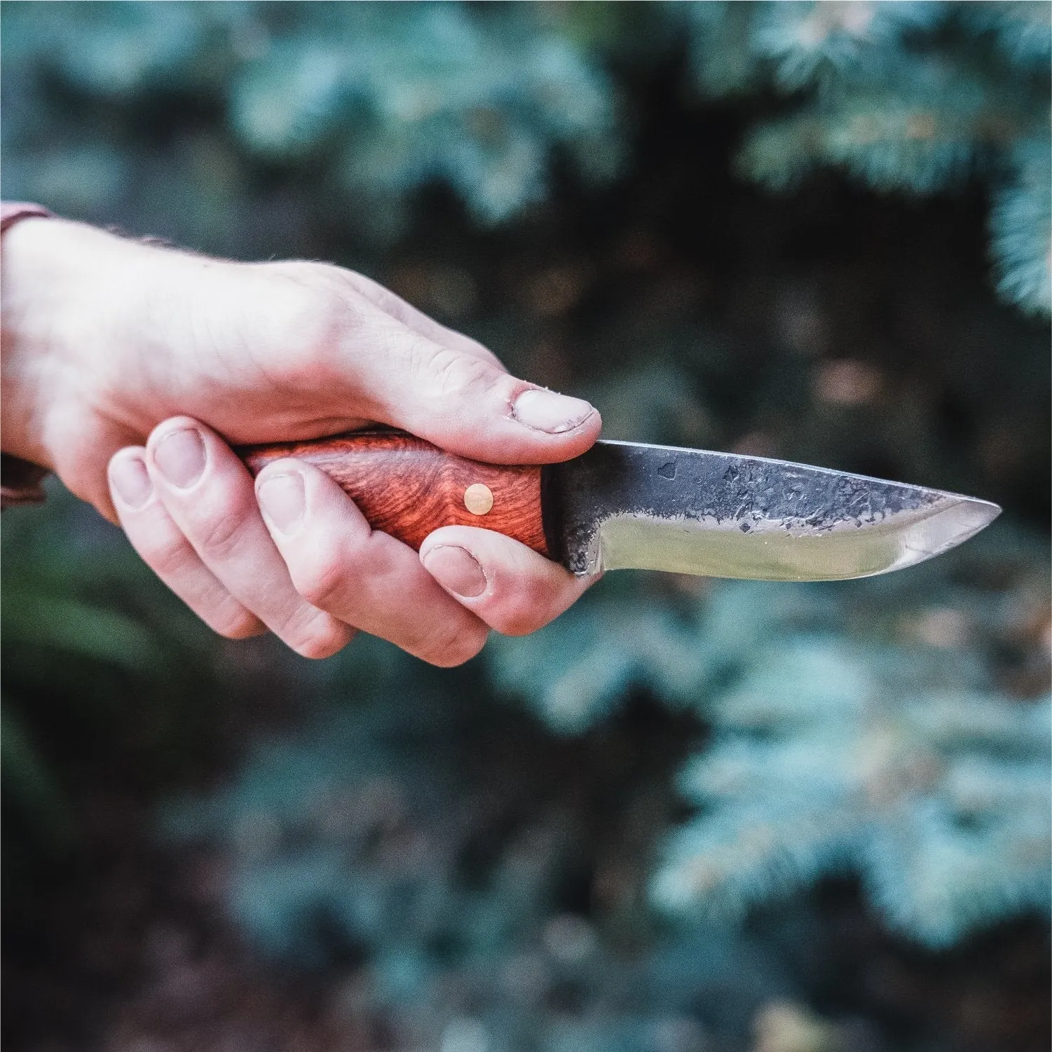 Haswell Survival Knife