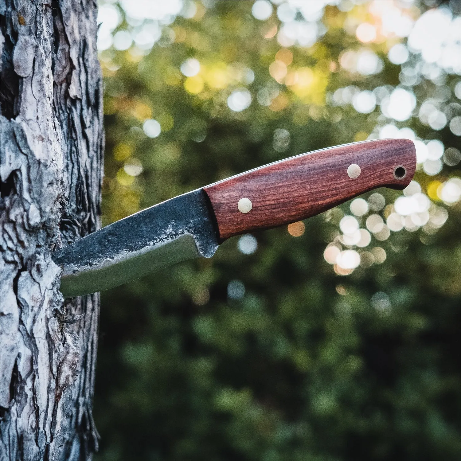 Haswell Survival Knife