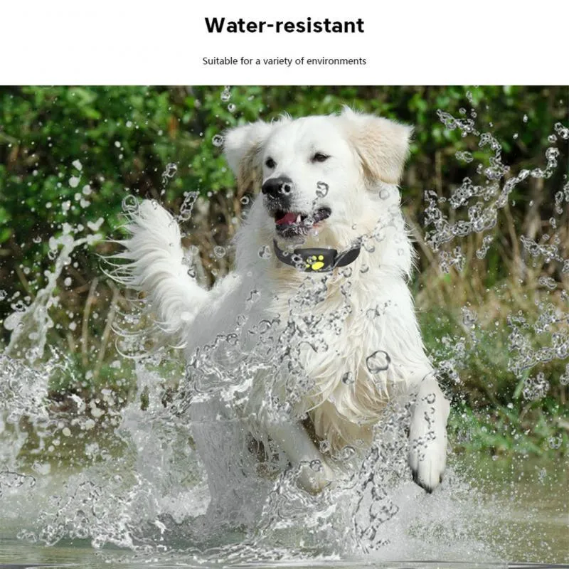 Water-Resistant GPS Tracker Dog Collar