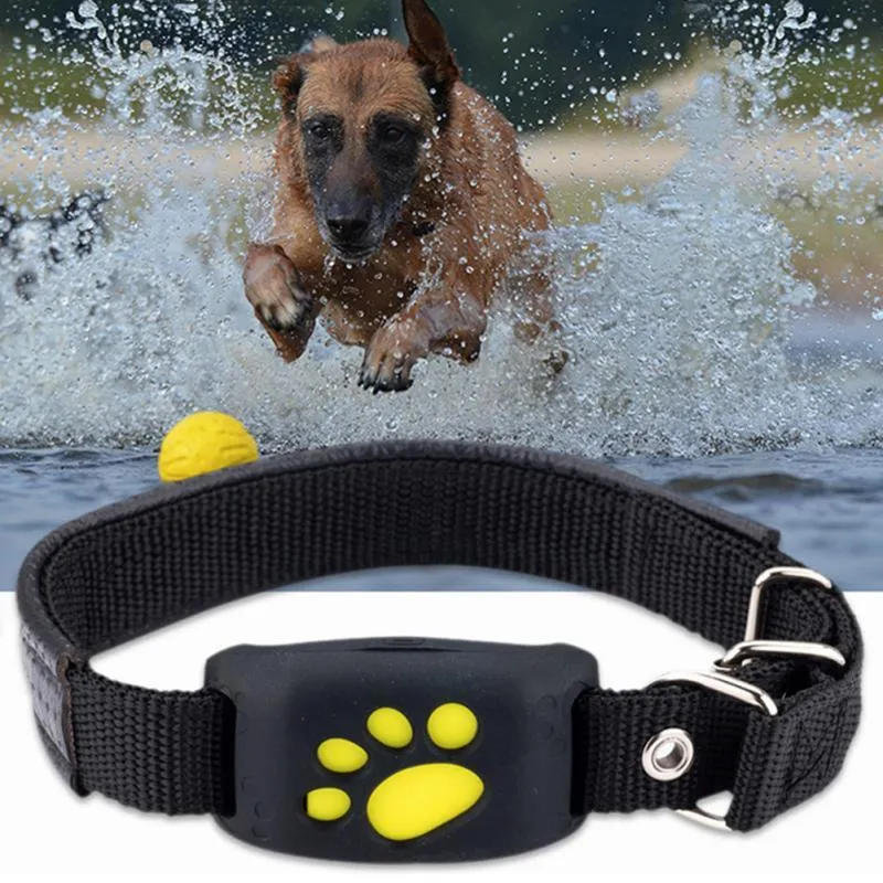 Water-Resistant GPS Tracker Dog Collar