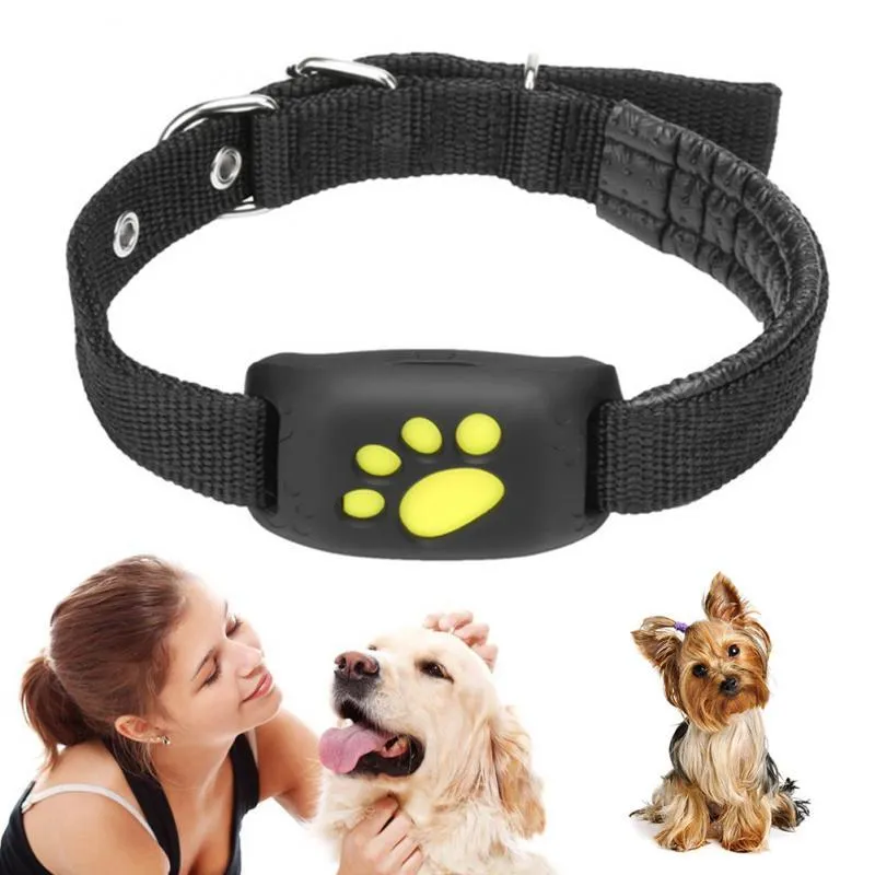 Water-Resistant GPS Tracker Dog Collar